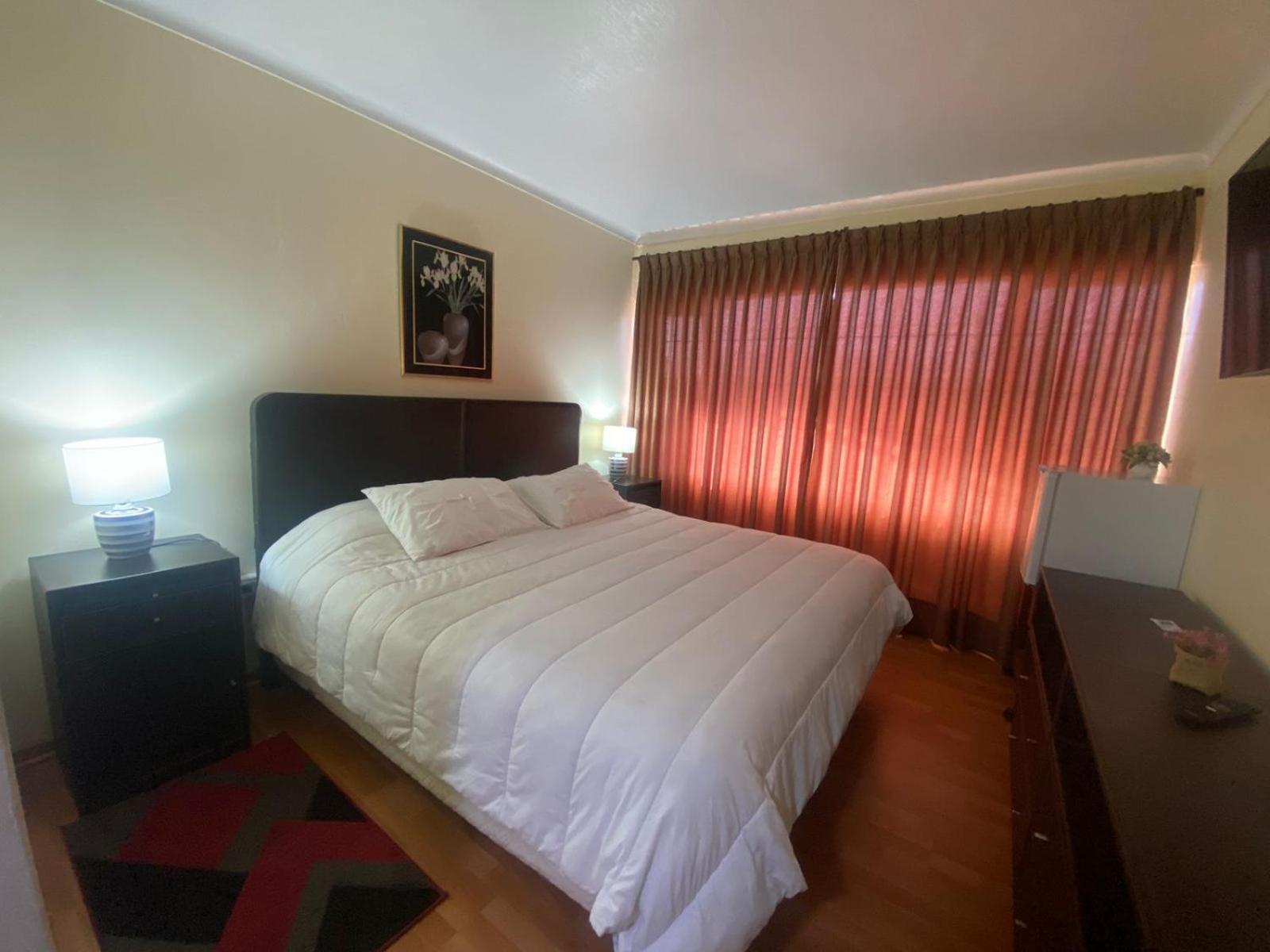 New Hotel Cruz Del Sur Concepción Extérieur photo